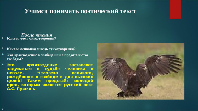 Учимся понимать поэтический текст  После чтения  Какова тема стихотворения?  Какова основная мысль стихотворения? Это произведение о свободе или о предательстве свободы? Это произведение заставляет задуматься о судьбе человека в неволе. Человека великого, рождённого в свободе и для высоких целей! Таким предстаёт молодой орёл, которым является русский поэт А.С. Пушкин.
