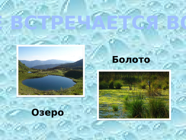 ГДЕ ВСТРЕЧАЕТСЯ ВОДА Болото Озеро