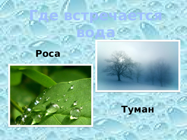 Где встречается вода Роса Туман