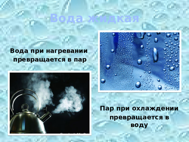 Вода жидкая   Вода при нагревании превращается в пар  Пар при охлаждении превращается в воду