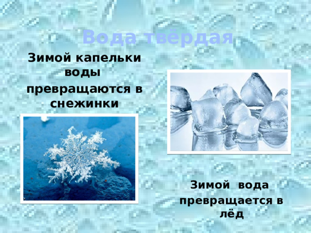Вода твёрдая Зимой капельки воды превращаются в снежинки  Зимой вода превращается в лёд