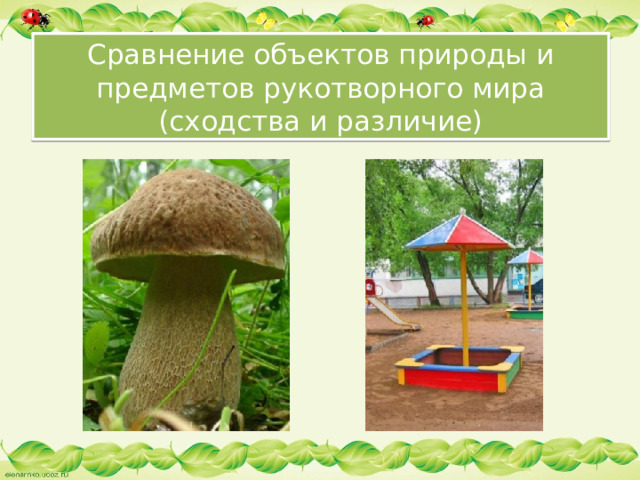Сравнение объектов природы и предметов рукотворного мира  (сходства и различие)