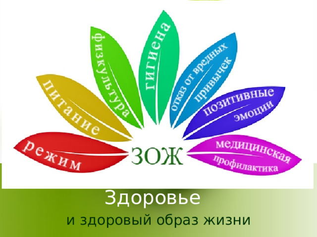 Здоровье и здоровый образ жизни