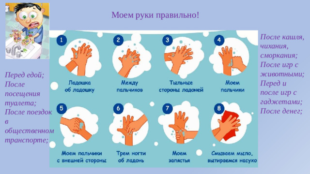 Моем руки правильно! После кашля, чихания, сморкания; После игр с животными; Перед и после игр с гаджетами; После денег;  Перед едой; После посещения туалета; После поездок в общественном транспорте;