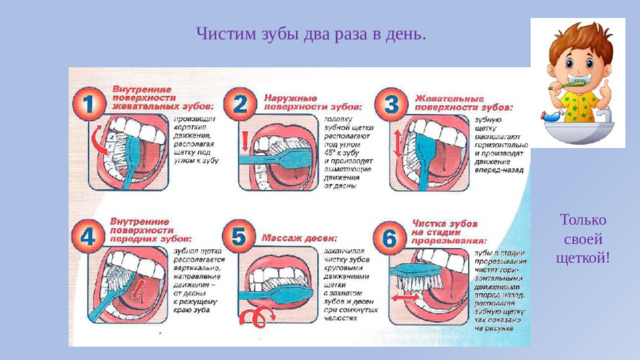 Чистим зубы два раза в день. Только своей щеткой!