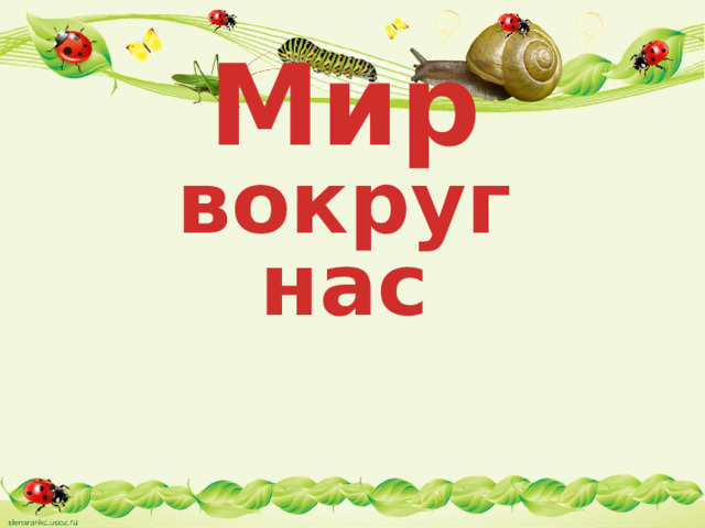 Мир вокруг нас