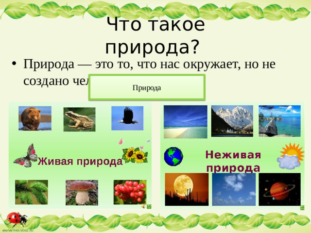 Что такое природа? Природа — это то, что нас окружает, но не создано человеком. Природа