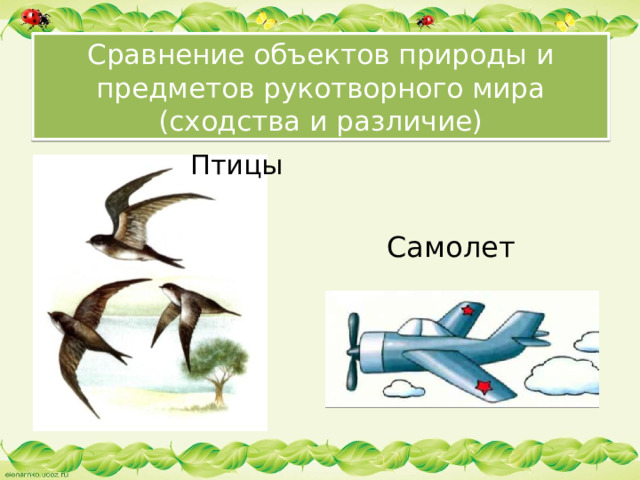 Сравнение объектов природы и предметов рукотворного мира  (сходства и различие) Птицы Самолет