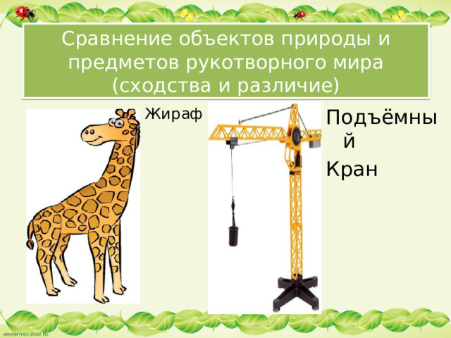 Сравнение объектов природы и предметов рукотворного мира  (сходства и различие) Жираф Подъёмный Кран