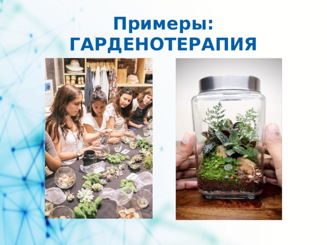 Примеры: ГАРДЕНОТЕРАПИЯ