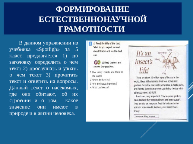 Формирование естественнонаучной грамотности В данном упражнении из учебника «Spotligh» за 5 класс предлагается 1) по заголовку определить о чем текст 2) прослушать и узнать о чем текст 3) прочитать текст и ответить на вопросы. Данный текст о насекомых, где они обитают, об их строении и о том, какое значение они имеют в природе и в жизни человека.