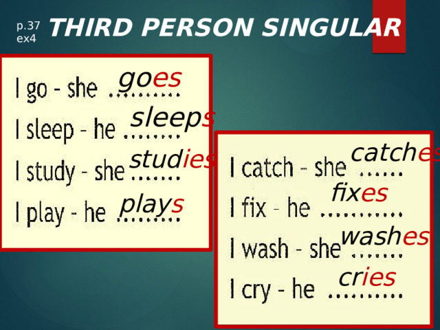 THIRD PERSON SINGULAR p.37 ex4 go es sleep s catch es stud ies fix es play s wash es cr ies