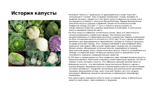 История капусты