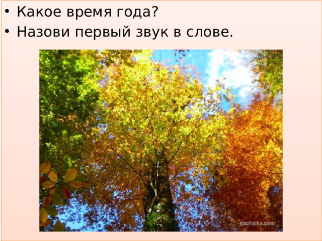 Какое время года? Назови первый звук в слове.