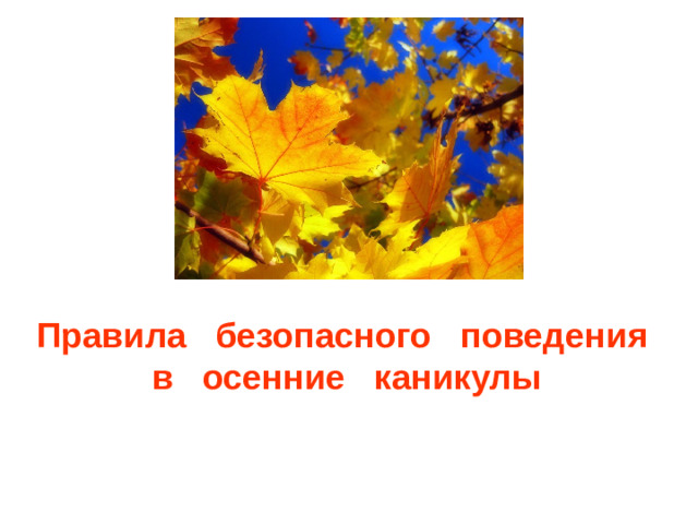 Правила безопасного поведения  в осенние каникулы