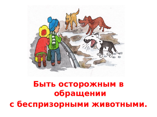 Быть осторожным в обращении с беспризорными животными.
