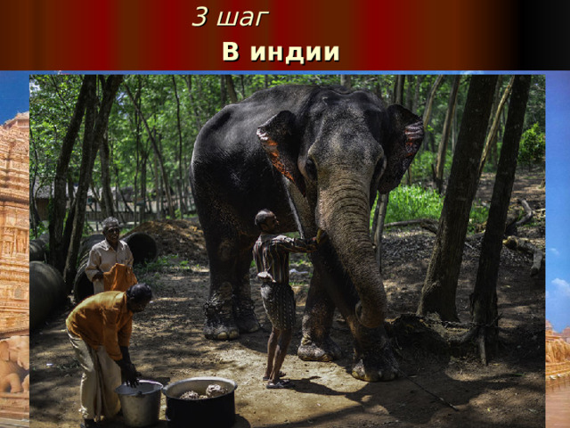 3 шаг   В индии