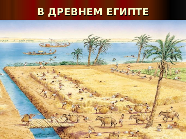 В ДРЕВНЕМ ЕГИПТЕ