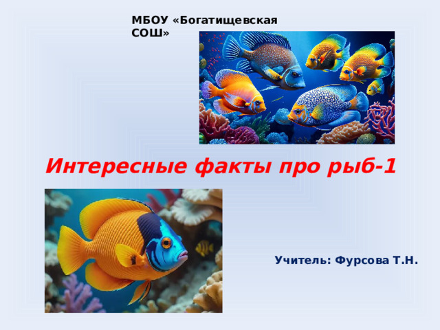 МБОУ «Богатищевская СОШ» Интересные факты про рыб-1 Учитель: Фурсова Т.Н.