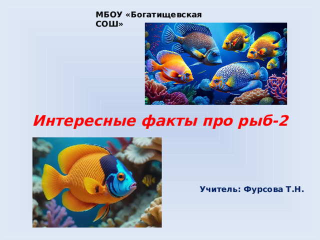 МБОУ «Богатищевская СОШ» Интересные факты про рыб-2 Учитель: Фурсова Т.Н.