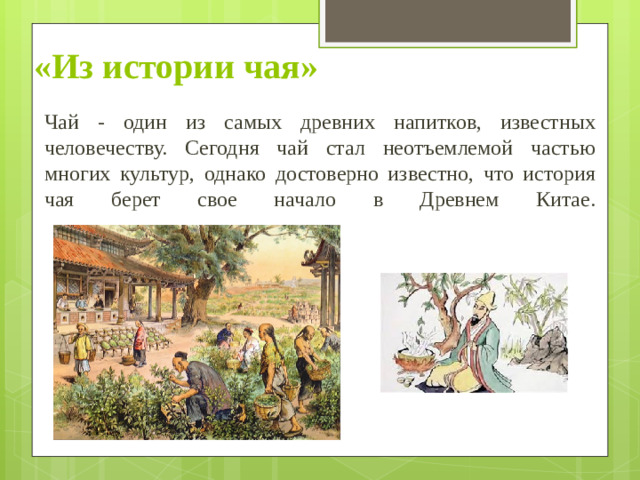 «Из истории чая»  Чай - один из самых древних напитков, известных человечеству. Сегодня чай стал неотъемлемой частью многих культур, однако достоверно известно, что история чая берет свое начало в Древнем Китае.