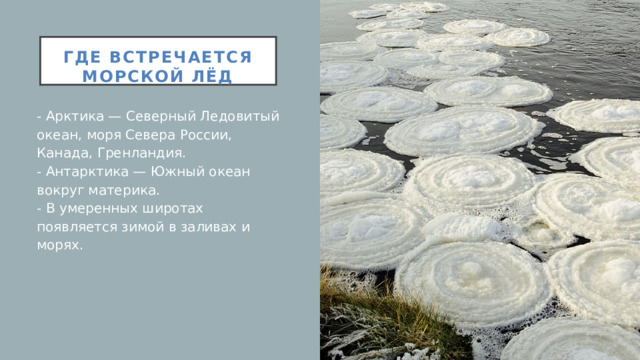 Где встречается морской лёд   - Арктика — Северный Ледовитый океан, моря Севера России, Канада, Гренландия.  - Антарктика — Южный океан вокруг материка.  - В умеренных широтах появляется зимой в заливах и морях.