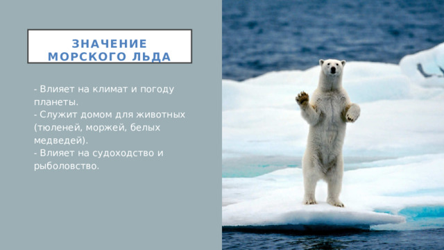 Значение морского льда   - Влияет на климат и погоду планеты.  - Служит домом для животных (тюленей, моржей, белых медведей).  - Влияет на судоходство и рыболовство.