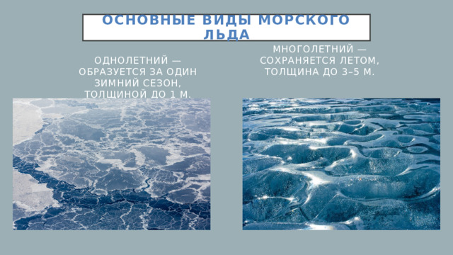 Основные виды морского льда Однолетний — образуется за один зимний сезон, толщиной до 1 м.   Многолетний — сохраняется летом, толщина до 3–5 м.