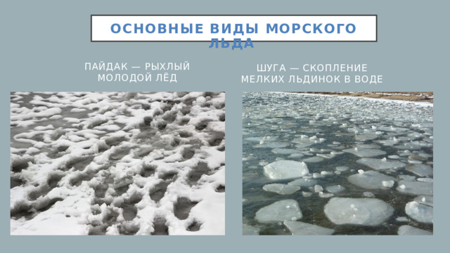 Основные виды морского льда Пайдак — рыхлый молодой лёд Шуга — скопление мелких льдинок в воде