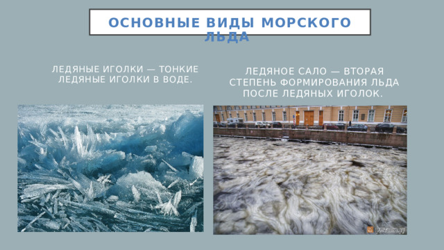 Основные виды морского льда   Ледяное сало — вторая степень формирования льда после ледяных иголок. Ледяные иголки — тонкие ледяные иголки в воде.