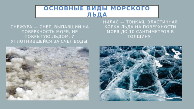Основные виды морского льда Нилас — тонкая, эластичная корка льда на поверхности моря до 10 сантиметров в толщину. Снежура — снег, выпавший на поверхность моря, не покрытую льдом, и уплотнившейся за счет воды.