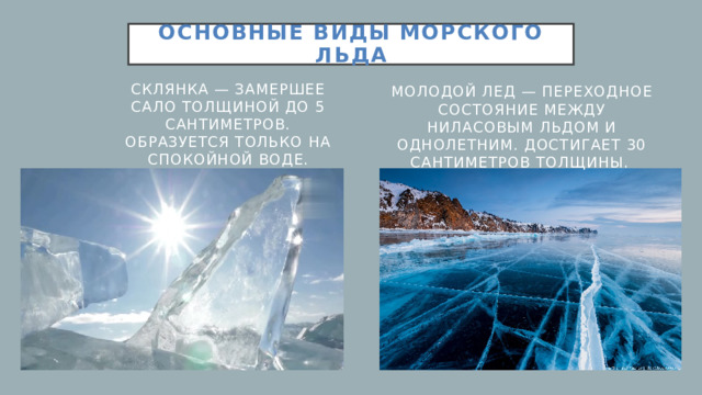 Основные виды морского льда Склянка — замершее сало толщиной до 5 сантиметров. Образуется только на спокойной воде. Молодой лед — переходное состояние между ниласовым льдом и однолетним. достигает 30 сантиметров толщины.