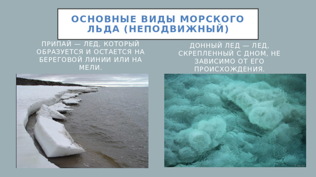 Основные виды морского льда (НЕПОДВИЖНЫЙ) Донный лед — лед, скрепленный с дном, не зависимо от его происхождения. Припай — лед, который образуется и остается на береговой линии или на мели.