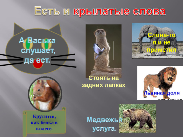 Слона-то я и не приметил . Стоять на задних лапках Львиная доля . Крутится, как белка в колесе.