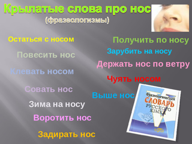 Остаться с носом Получить по носу Зарубить на носу Повесить нос Держать нос по ветру Клевать носом Чуять носом Совать нос Выше нос Зима на носу Воротить нос Задирать нос