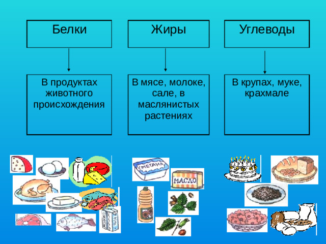 Белки Жиры В продуктах животного происхождения Углеводы В мясе, молоке, сале, в маслянистых растениях В крупах, муке, крахмале