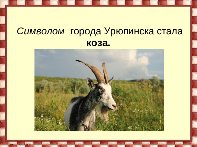 Символом города Урюпинска стала коза.
