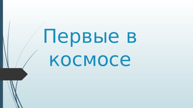 Первые в космосе