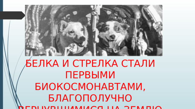 Белка и Стрелка стали первыми биокосмонавтами, благополучно вернувшимися на Землю