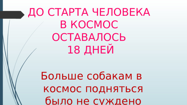 До старта человека в космос оставалось  18 дней Больше собакам в космос подняться было не суждено