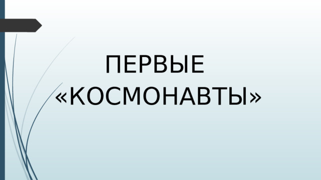 ПЕРВЫЕ «КОСМОНАВТЫ»