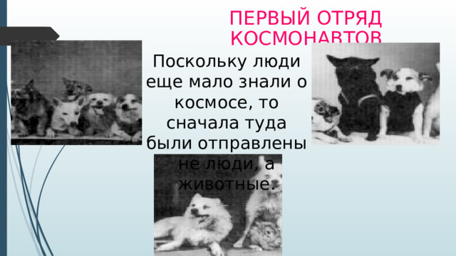 Первый отряд космонавтов Поскольку люди еще мало знали о космосе, то сначала туда были отправлены не люди, а животные.