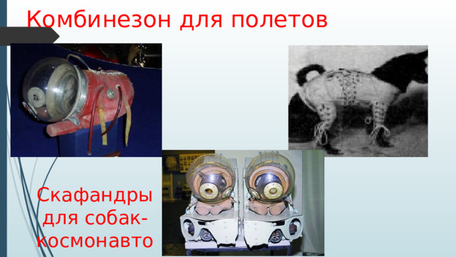 Комбинезон для полетов Скафандры для собак-космонавтов