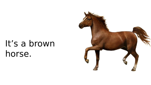 It’s a brown horse.