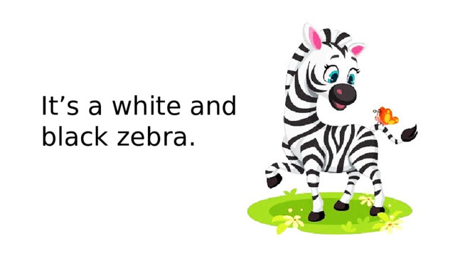 It’s a white and black zebra.