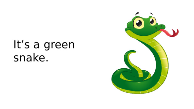 It’s a green snake.
