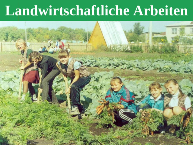 Landwirtschaftliche Arbeiten