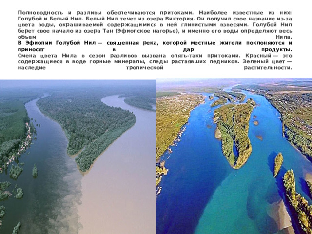 Полноводность и разливы обеспечиваются притоками. Наиболее известные из них: Голубой и Белый Нил. Белый Нил течет из озера Виктория. Он получил свое название из-за цвета воды, окрашиваемой содержащимися в ней глинистыми взвесями. Голубой Нил берет свое начало из озера Тан (Эфиопское нагорье), и именно его воды определяют весь объем Нила.  В Эфиопии Голубой Нил — священная река, которой местные жители поклоняются и приносят в дар продукты.  Смена цвета Нила в сезон разливов вызвана опять-таки притоками. Красный — это содержащиеся в воде горные минералы, следы растаявших ледников. Зеленый цвет — наследие тропической растительности.