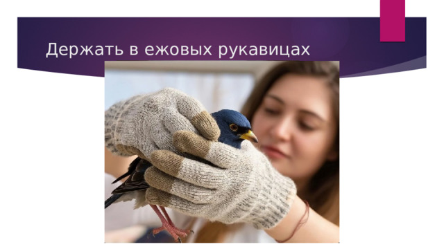 Держать в ежовых рукавицах