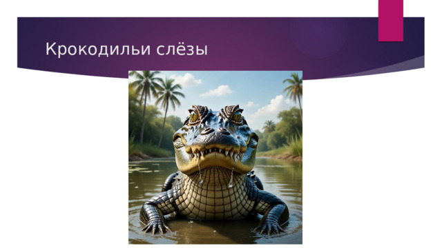 Крокодильи слёзы